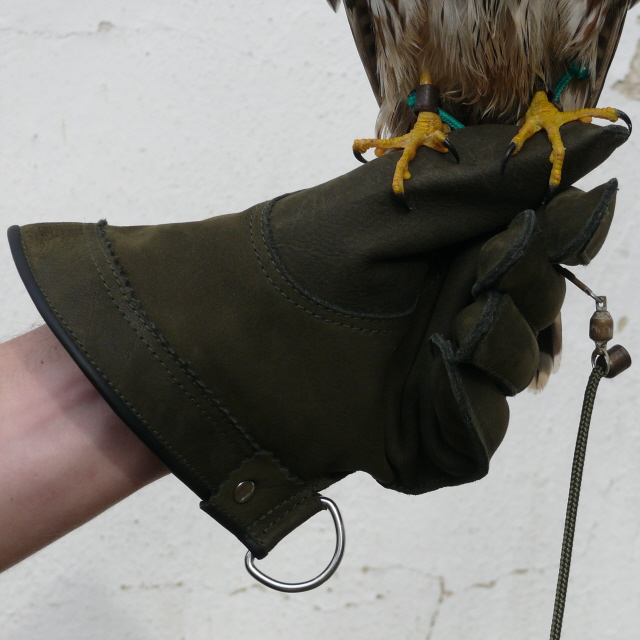 RU1-Falken Handschuhe